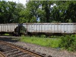 TCWR 349662